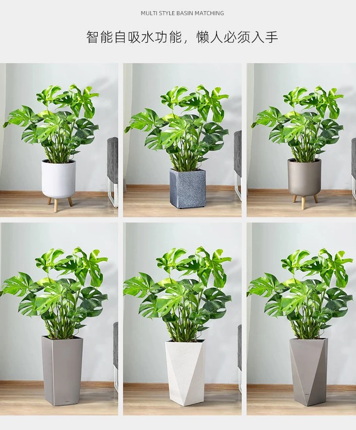 Large Diamond Shape Flowerpot Plastic